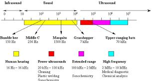 Progetto Ultrasonic